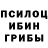 Псилоцибиновые грибы ЛСД Necropedophil