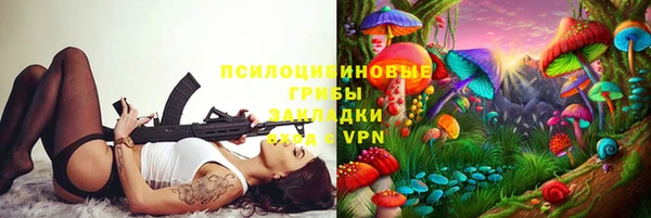 spice Алексеевка
