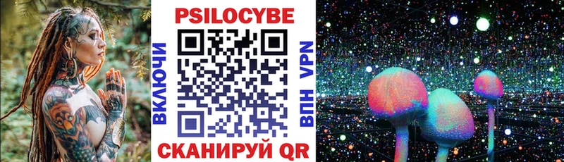 блэк спрут онион  Александровское  Галлюциногенные грибы Cubensis 